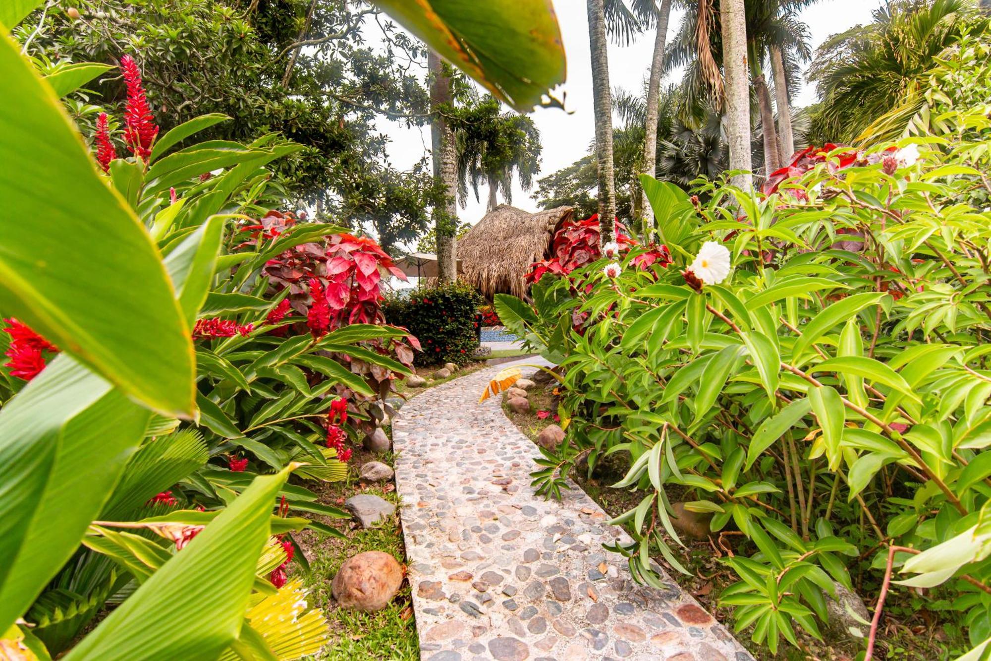 Calabazo  Portales Del Tayrona Garden Hotel מראה חיצוני תמונה