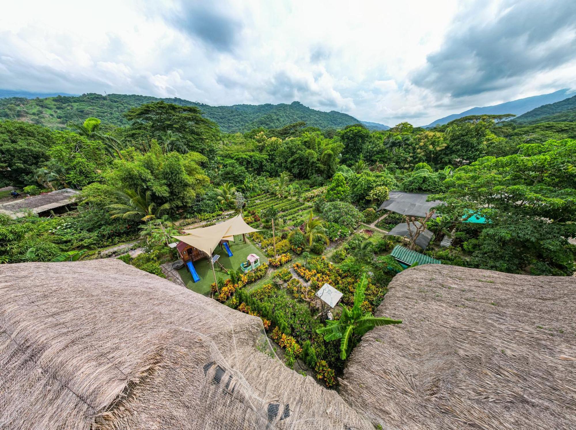 Calabazo  Portales Del Tayrona Garden Hotel מראה חיצוני תמונה